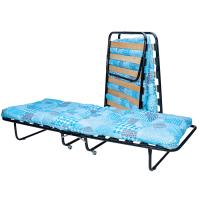 Раскладушка 80х200х30 Черный/Голубой