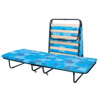 Раскладушка 80х200х31 Черный/Голубой