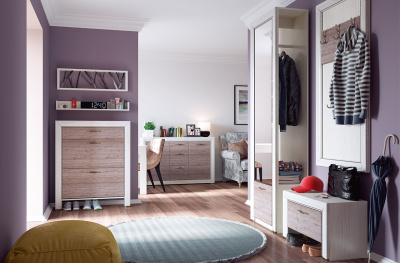 Шкаф 1DZ 60х38,3х217,1 Вудлайн кремовый/Дуб анкора фото в интернет-магазине BestWood