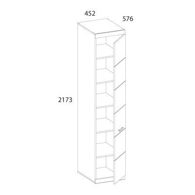 Шкаф 1DG 45,2х57,6х217,3/Дуб Санремо фото в интернет-магазине BestWood