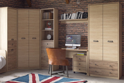 Шкаф 2D1S 55,8х36,5х210,4 Дуб мадура/Веллингтон фото в интернет-магазине BestWood