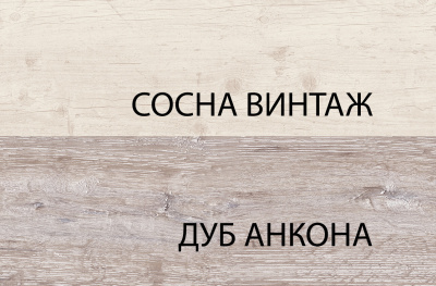 Шкаф 2D1S 67,4х39х213,7 Сосна винтаж/Дуб анкора фото в интернет-магазине BestWood