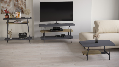 Тумба под ТВ 120х45х60/ Графит/Дуб Сонома фото в интернет-магазине BestWood