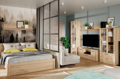 Шкаф с витриной 1V2S 55,2х41х210,4/Дуб Наварра фото в интернет-магазине BestWood