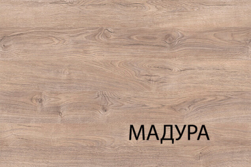 Шкаф 2DG2S 85,8х59,3х210,4 Дуб мадура/Энигма фото в интернет-магазине BestWood