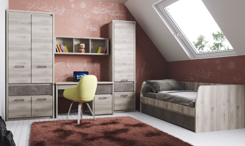 Шкаф 4DG1S 86,8х59х210 /Каштан найроби/Оникс фото в интернет-магазине BestWood