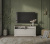 Тумба TV 1D2N 138,9х39,3х66,8 Персидский жемчуг/Каньон фото в интернет-магазине BestWood