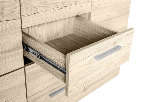 Тумба 2D4S 120,1х40х81/Дуб Санремо фото в интернет-магазине BestWood