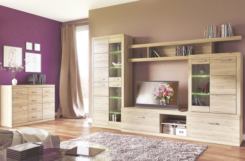 Тумба 2D4S 120,1х40х81/Дуб Санремо фото в интернет-магазине BestWood